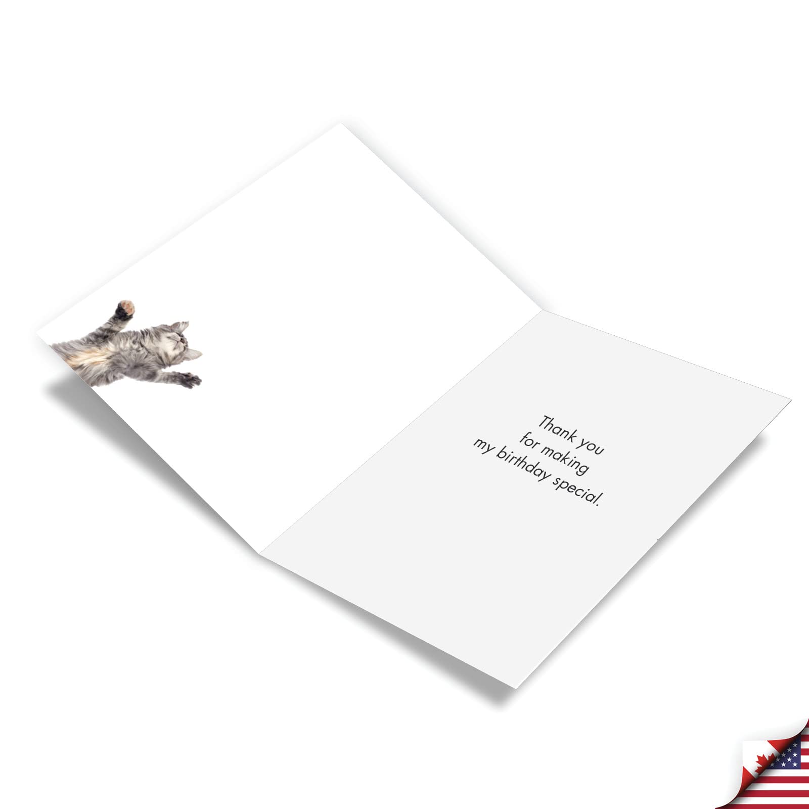 Lustige Geburtstagskarte Für Die Ehefrau – „Happy Birthday To A Special Wife“ | Mit Umschlag, 12,7 X 17,8 Cm | NobleWorks Humor