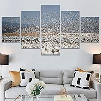 SIGNWIN 5 Panel Canvas Wall Art Birds Farmhouse/Country Group Group Multicolor Photography Realism Relax/Calm Warm for Home Decorations Ready to Hang - 60