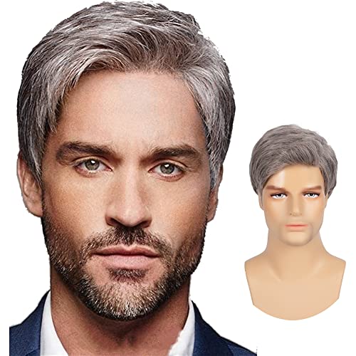 Tseses Grey Straight Mens Short Wig Synthetic Hair Layered Natural Daily Cosplay Party Gray