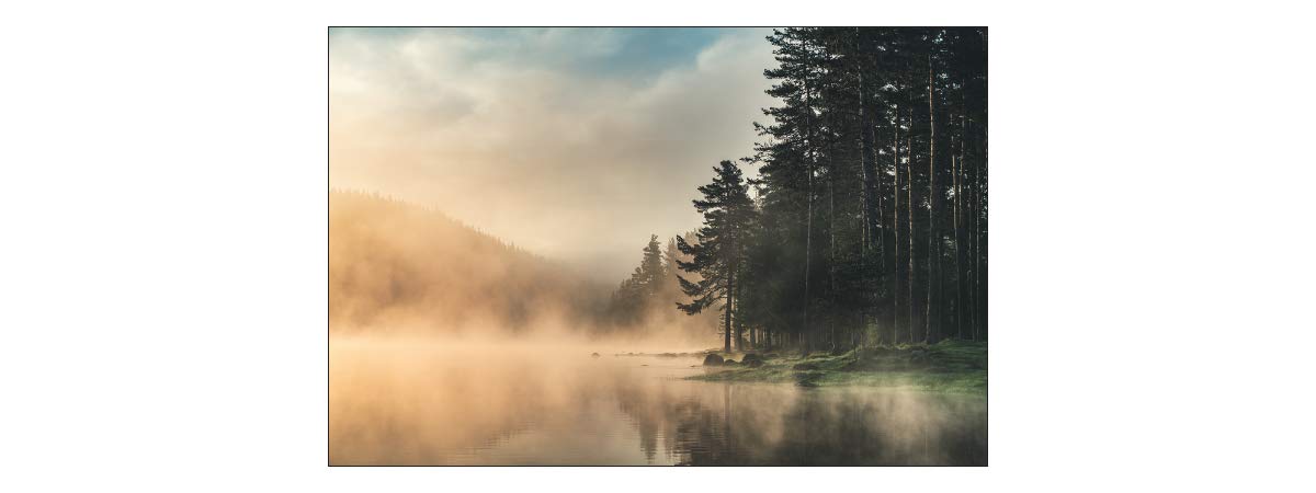 Muralo Fototapete Vlies Wald im Nebel, See, Bäume, XXL - 270x405 cm