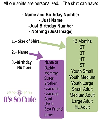 Candyland Birthday Shirt, Candy Land Personalized Shirt with Name and Age, Candyland Party, Thea Shirt, Candyland Birthday Party (5T)2