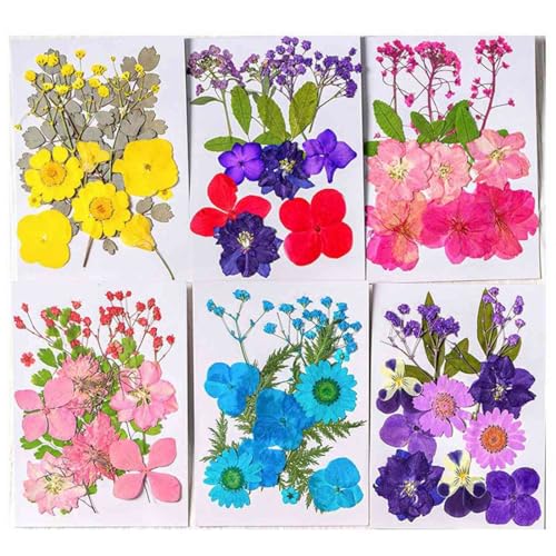Flores prensadas secas para manualidades miniatura 3