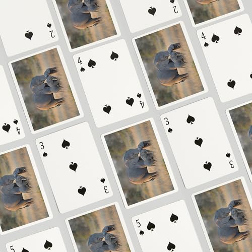 Baraja de Póker 52 Cartas Lantern Press miniatura 4