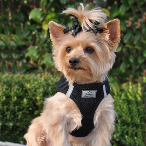 CHOKE FREE REFLECTIVE STEP IN ULTRA HARNESS - BLACK - AMERICAN RIVER (XXS) by Doggie Design