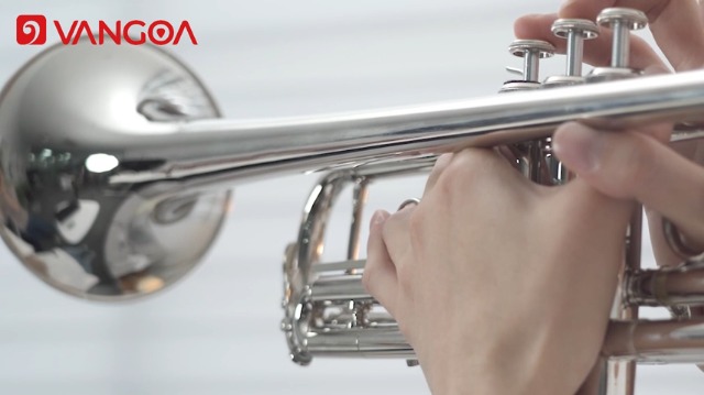 Amazon | Vangoaトランペット Bb調 Trumpet 初心者 学生用 ハード