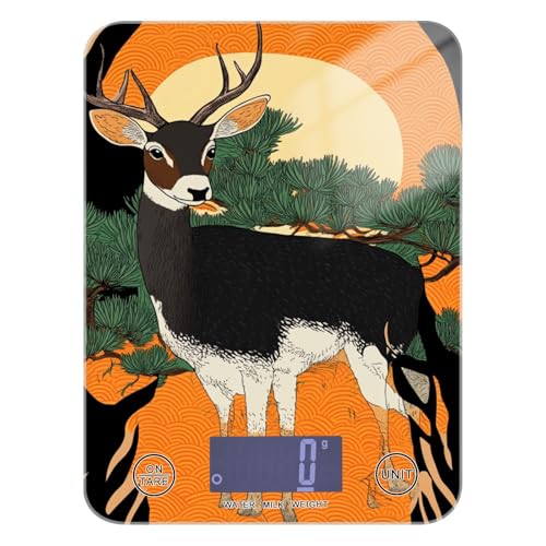 Duiker Jungle - Báscula de alimentos impermeable para artículos esenciales de cocina, 11 libras/2 onzas, báscula digital de 5 kg/5 g con 4 unidades para dieta, cocinar espresso (pilas no incluidas)