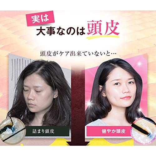 Amazon | [ 発毛専門 リーブ21 公式 ] アクティシャンプーL 300mL