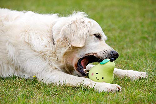 Petface Hundespielzeug aus Latex, Birne, weich, klein