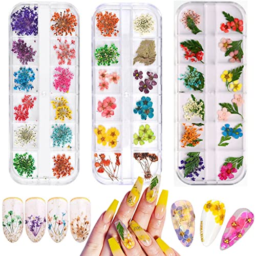 KINGMAS 36 Colors Dried Flowers for Nail Art 3 Box Dry Flowers Mini Real Natural Flowers Nail Art Supplies 3D Applique Nail Decoration Sticker Decor (A/C/E)