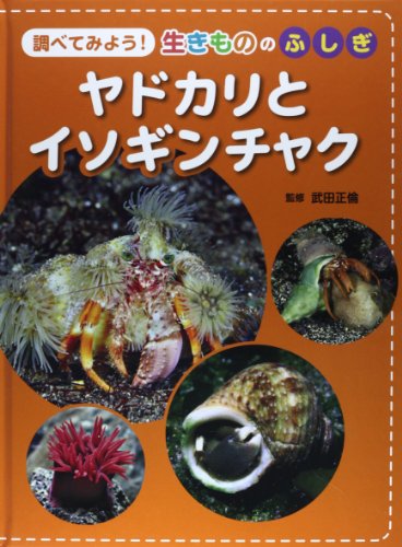 ヤドカリとイソギンチャク (調べてみよう!生きもののふしぎ)