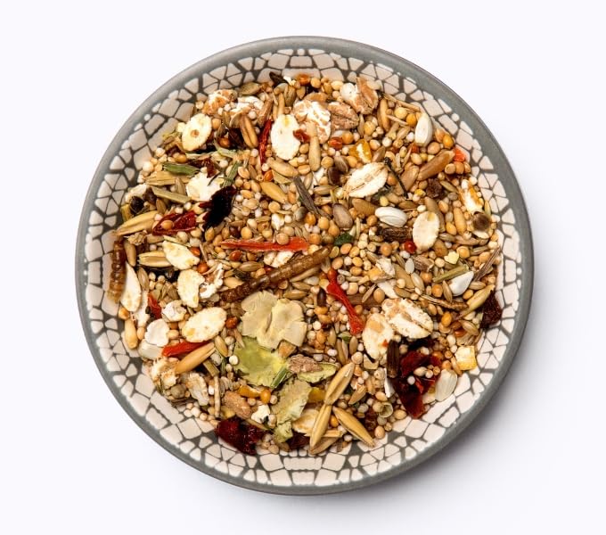Bunny FarbmausTraum EXPERT | 500 g | Alleinfuttermittel für Farbmäuse | Ohne Zucker, Zusatzstoffe, Geschmacksverstärker oder Farbstoffe | Hochwertige Power-Ingredients