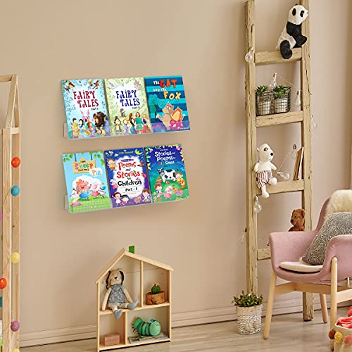 FEMELI Acrylic Floating Wall Ledge Book Shelf for Kid with Lip,Wall Mount Display Shelf Organizer for Nursery Room Bathroom Dorm 24 Inch,1 Pack