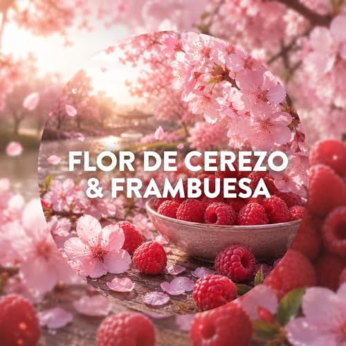 Miniatura 4 de Air Wick Essential Mist, Ambientador difusor de aceites esenciales que brilla al liberar vapor, con aroma a Flor de Cerezo y Frambuesa infusionado con 2 veces más aceites esenciales