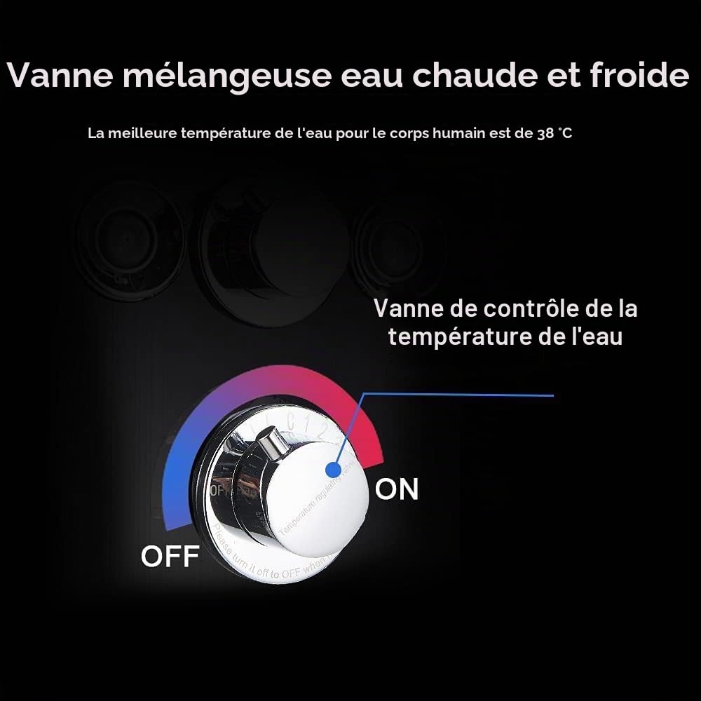 LED Colonne de douche hydromassage en acier inoxydable 304 avec mitigeur de massage, pomme de douche fixe, douche et bouche baignoire 5 fonctions pour salle de bain noire