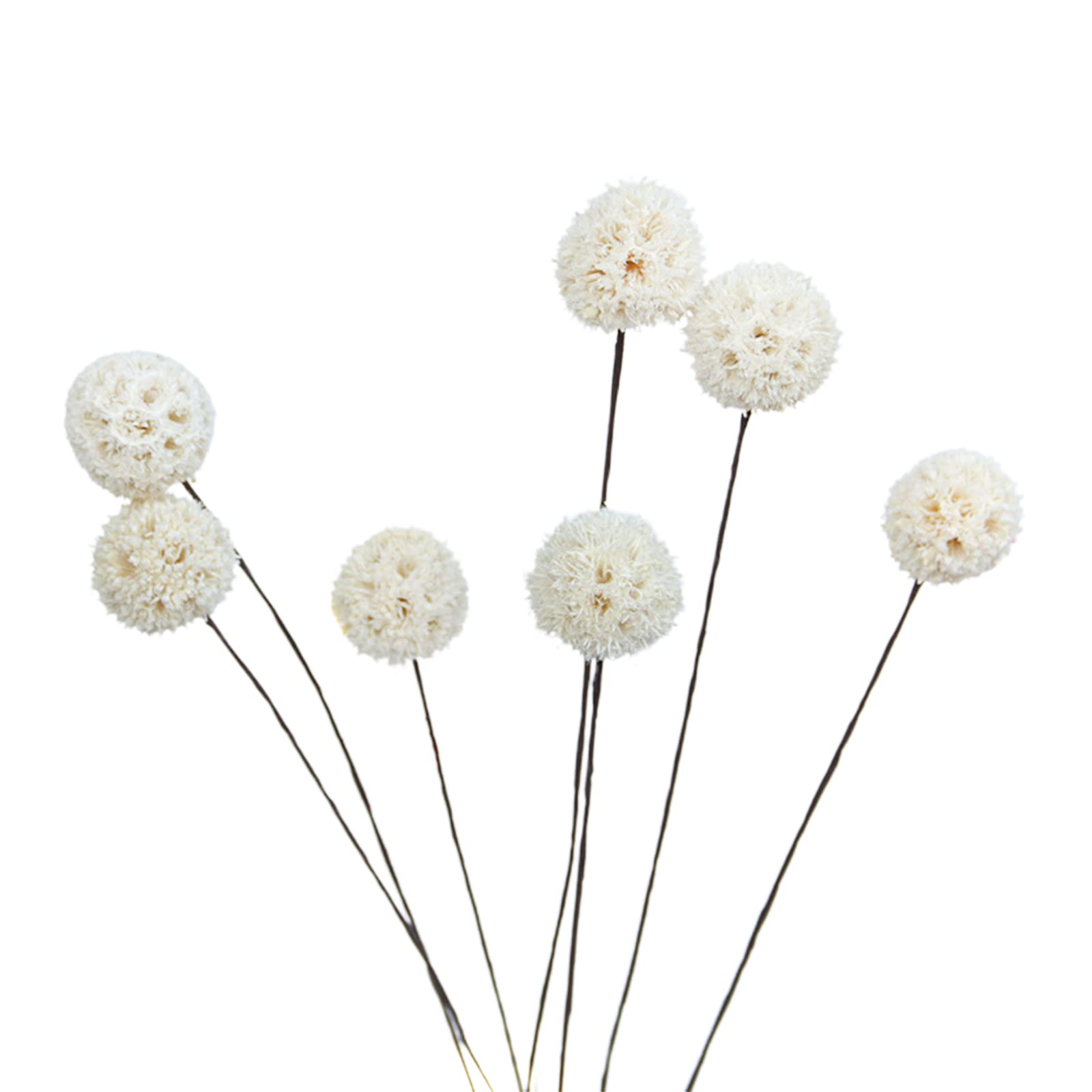 40 Palline Fiori Secchi Craspedia Dorate - Per Decorazioni Home, Matrimoni E Fai Da Te - Foto 2