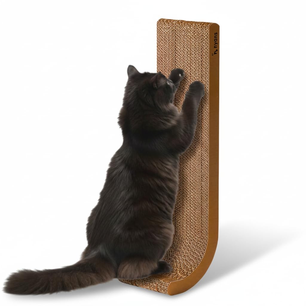 Amazon | 【 とぎカスがでない ・ 1年高耐久 ・ 純日本製 】 nyansの爪