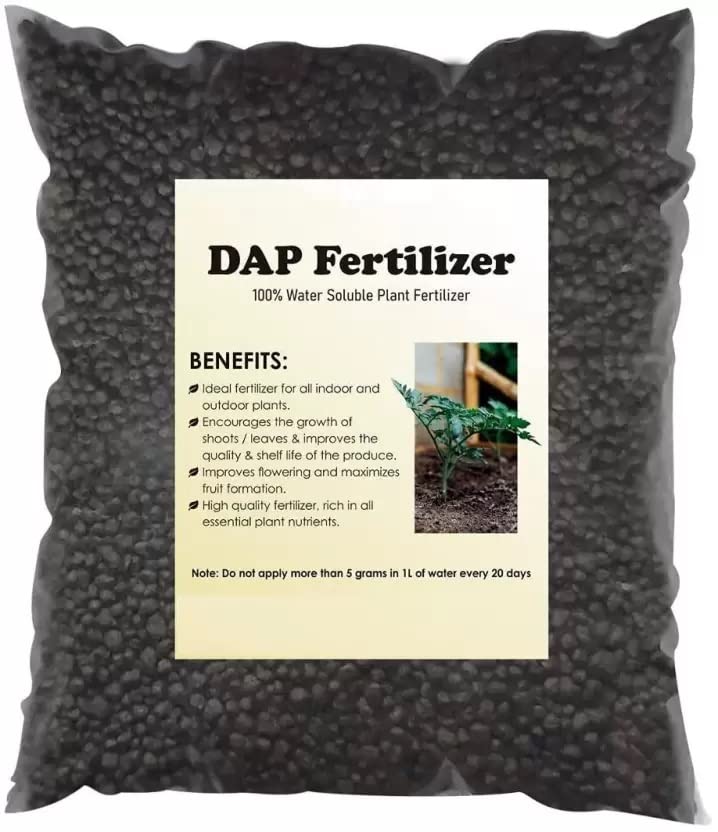 DAP all perpose fertilizer for gardening potting mix pack 500 gm (B0BQJJN62Q) Amazon Price History, Amazon Price Tracker