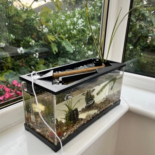 Aquarium rectangulaire avec pompe eau et cycle ecologique acrylique - 3