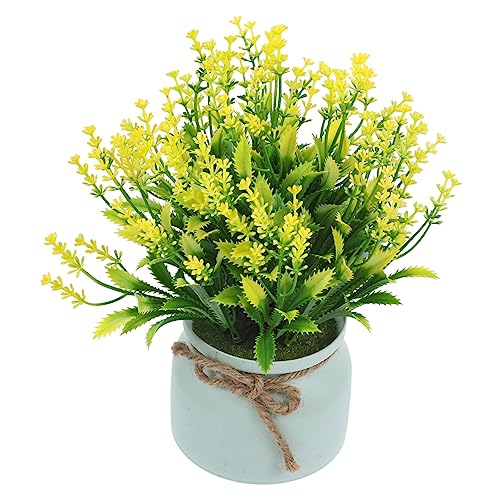 HOLIDYOYO tFCNA lHA ^~ vX`bN Rȕ͋C sv fXNgbv CeAp