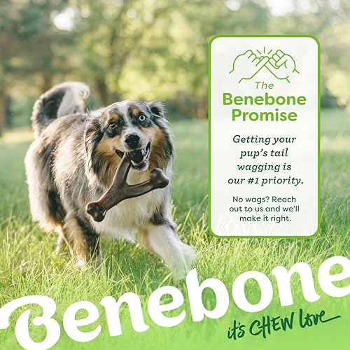 Image of Benebone Tiny 2-Pack Dog Chew Toys, Made in USA, Real Bacon Flavor