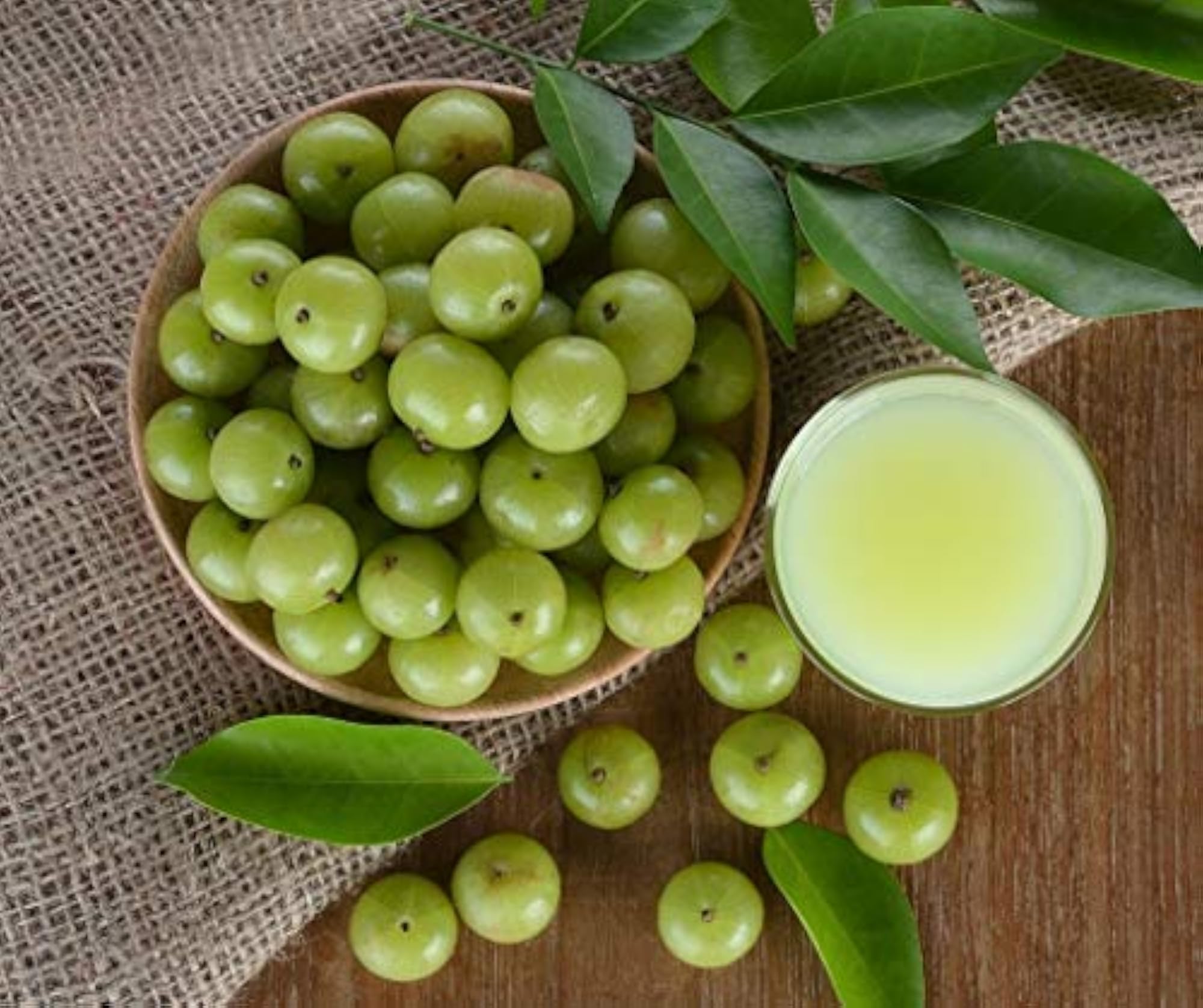 Shikakai Amla Brahmi Powder Hair Care Combo