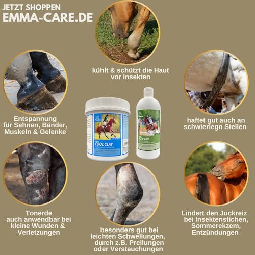 Kühlgel Pferd & Pferdesalbe kühlend & wärmend 1000ml 500 ml mit Arnika Salbe hochkonzentriert I Pferdebalsam wärmend kühlend Gel für Sehnen Muskeln I Kühlsalbe Pferd Pferdesalbe Kalt Warm Arnica Gel