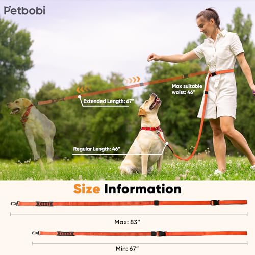 Petbobi Hands Free Dog Leash - Durable Bungee Leash with Padded Handles, Adjustable Waist Belt with Reflective Stitches for Running Walking Jogging Hiking, Fit for Small Medium Dogs, Orange, 5.5\'-7\'
