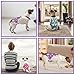 Jollywoods 3 Pack Washable Female Dog Diaper Onesie Sanitary Pantie with Adjustable Suspender, Reusable Fixed Doggie Diapers, Super Absorbent Leakproof for Small Medium Large Dog in Heat Cycle M