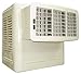 Dayton 4800 cfm Window Evaporative Cooler, 115V, 4RNN6