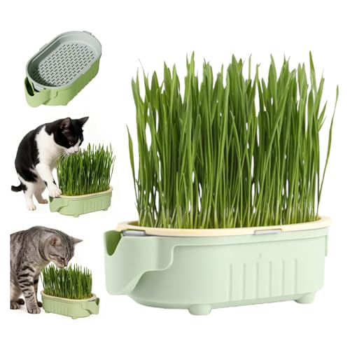 QZAVIRE Hydroponic Cat Grass Growing Kit with Germination Tray Easy-Grow Cat Grass Planter for Indoor Gardening Soilless Planting Pot for Hairball Control