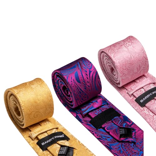 Image of Barry.Wang 6 PCS Men Ties Set Silk Business Fashion Woven Necktie Handkerchief Cufflinks Paisley Stripe Wedding Party