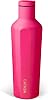 CATHSA 17 oz Vacuum Insulated Water Bottle – Double-Wall Stainless Steel, Leak-Proof & BPA-Free, Alkaline Water Bottle for Office, Travel & Gym, Keeps Drinks Hot or Cold