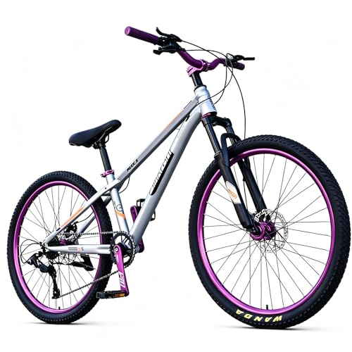 ��l�q���p�}�E���e���o�C�N�A���Y�f�|MTB�A�����P�[�u���z���ƃ��b�N�\�T�X�y���V�����t�H�[�N�t���A�f�B�A���f�B�X�N�u���[�L�A�I�[���e���C�����]�ԁA�g���C���ʋΌ����A�E�g�h�A�T�C�N�����O�o�C�N,Silver26'',8 speed