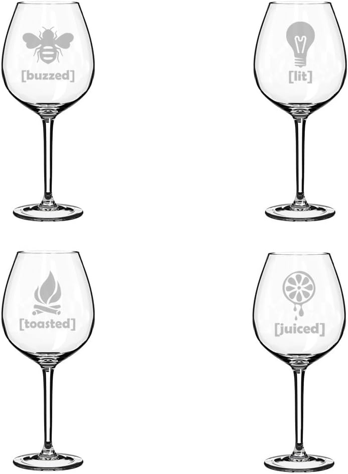 MIP Set of 4 Wine Glass Goblet Funny Drunk Buzzed Lit Toasted Juiced (17 oz Stemless)