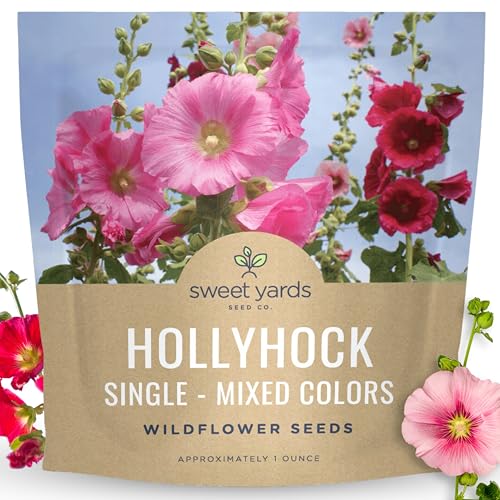 Hollyhock Single - Mixed Colors - Large 1 Ounce Packet - 2,500 Flower Seeds for Planting - Alcea rosea
