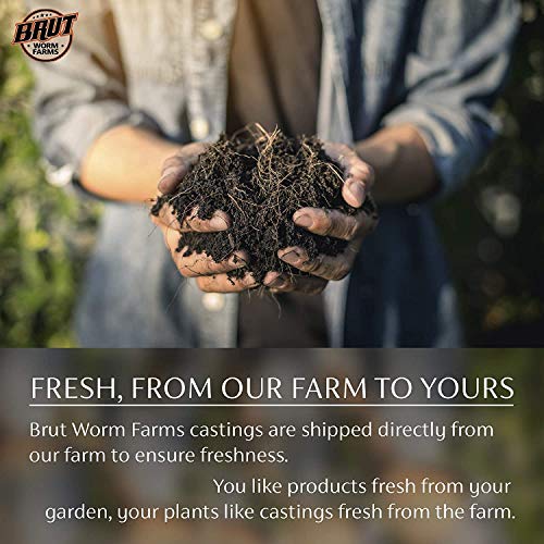 Brut Worm Farms - Worm Castings Soil Builder - Organic Fertilizer - Natural Enricher for Healthy Houseplants, Flowers, and Vegetables - Use Indoors or Outdoors - Non-Toxic and Odor Free - 30 Pounds