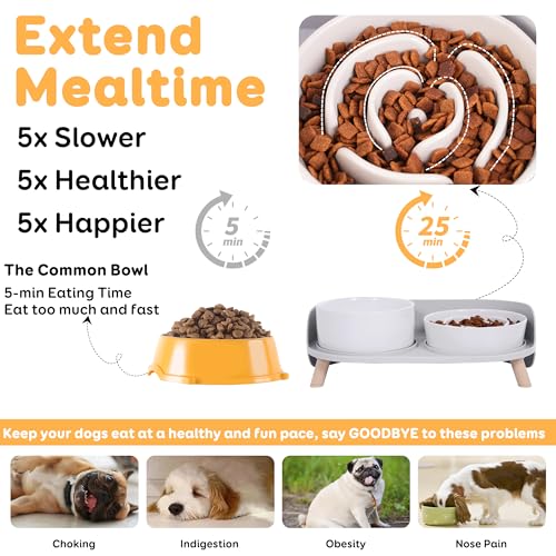 Elevated Slow Feeder Dog Bowls - Ceramic Food and Water Bowl Set with Stand - Raised Pet Dishes for Small and Medium Sized Dogs - Image 4