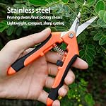 Ensemble de classe de taille professionnelle - Kit d'outils de jardin en acier inoxydable Ergonomic Design