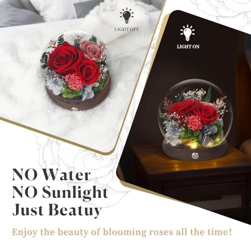 Valentines Day Gifts for Her, Forever Rose Birthday Gifts for Women, Preserved Flowers in Glass Dome, Eternal Flowers for Delivery Prime (Red Rose) - Image 6