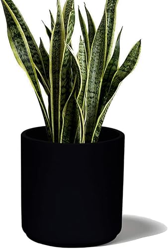 Elly Décor Maceta de piedra de fibra de 10 pulgadas, agujero de drenaje y tapón cilíndrico redondo, maceta de jardinería para interiores y