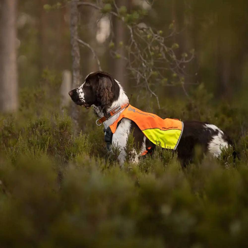 Non-Stop dogware Perros Chaleco reflectante, chaleco de seguridad, caza con chaleco chaleco Protector para