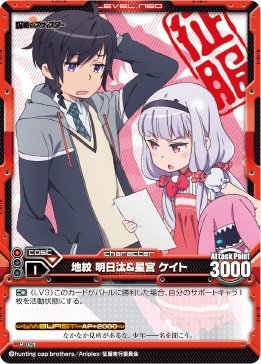 Amazon.co.jp: レベル・ネオ 世界征服 謀略のズヴィズダー地紋 明日汰