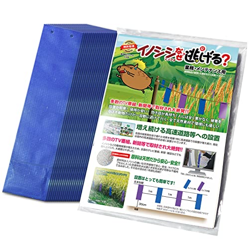 CmVVȂj[ _ƁEƖp50Zbgi̂݁j CmVV CmVV΍ 