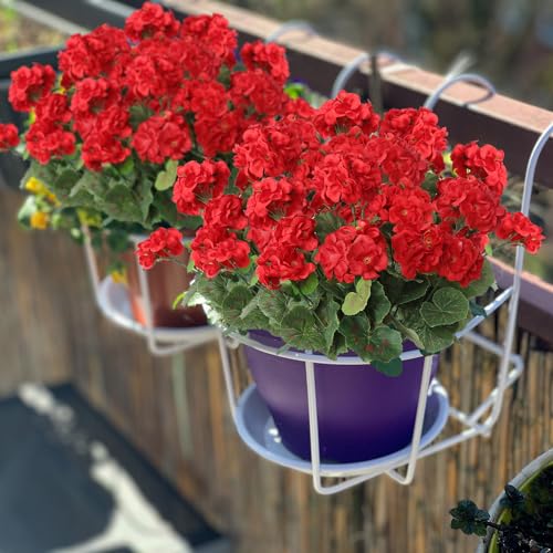 Dremisland 6 Pack Artificial Geranium Flowers for Outdoors Red Geranium Silk Flowers Outdoor UV Resistant Garden Plants Bush Faux Flowers for Home Wedding Table Centerpieces Decor image 4