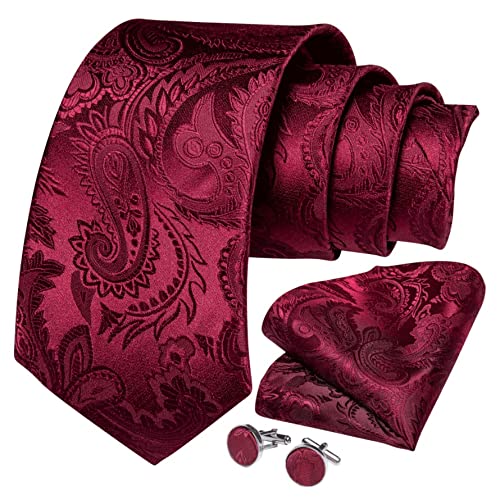 Set de Tirantes y Corbata de Seda para Hombre miniatura 4
