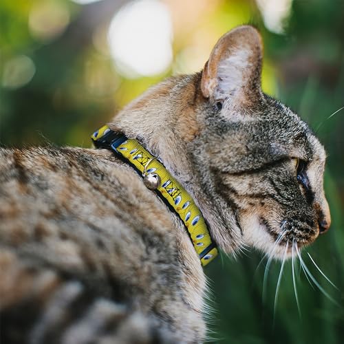 Collar para Gato de Piolín Amarillo Ideal para Identificación en el Hogar 3