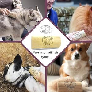 SleekEZ Dog Brush for Shedding & Dog Grooming Supplies, Pet Hair Removal Tool, Dog Hair Remover, Deshedding Dog Brush, Dog Brush for Short Haired Dogs, Dog Comb, Dog Hair Brush, Dog Shedding Brush SleekEZ Dog Brush for Shedding Dog Grooming Supplies Pet Hair Removal Tool Dog Hair Remover Deshedding Dog Brush Dog Brush for Short Haired Dogs Dog Comb Dog Hair Brush Dog Shedding Brush