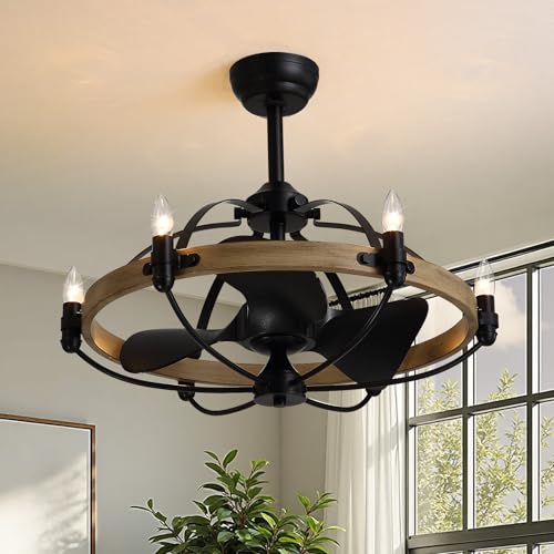 Industrial Caged Ceiling Fan with Lights, 27" Farmhouse Fandelier with