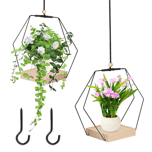 BOUFEIDA Vaso sospeso per piante, 2 vasi da appendere per piante, anello in metallo con base in legno, vasi da fiori sospesi, ganci inclusi per balcone e soggiorno, interni