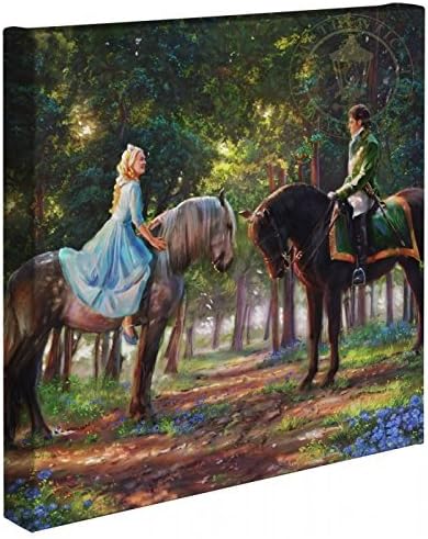 Studios Cinderella Romance Awakens 14 x 14 Gallery Wrapped Canvas